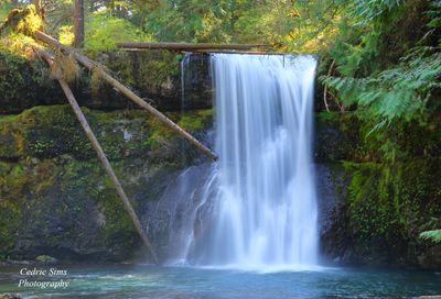  Lower South Falls (Silver Falls Park)