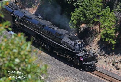 Union Pacific Big Boy 4014. Pulga, Ca.