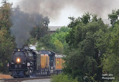 Union Pacific Big Boy 4014 Rocklin, Ca.