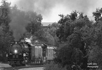 Union Pacific Big Boy 4014 Rocklin, Ca.