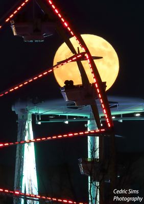 196A4598 _b.jpg