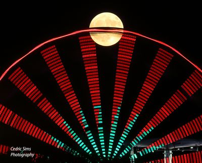 California Sate fair 2024