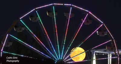California Sate fair 2024