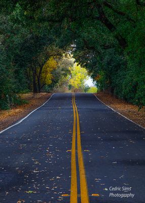 Around Lodi