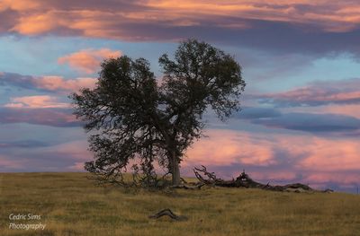 Boys Ranch Rd.