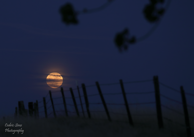   Sunsets , Sunrise, Moonsets & Moonrise