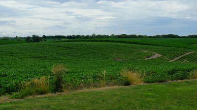DSCF5383.JPG