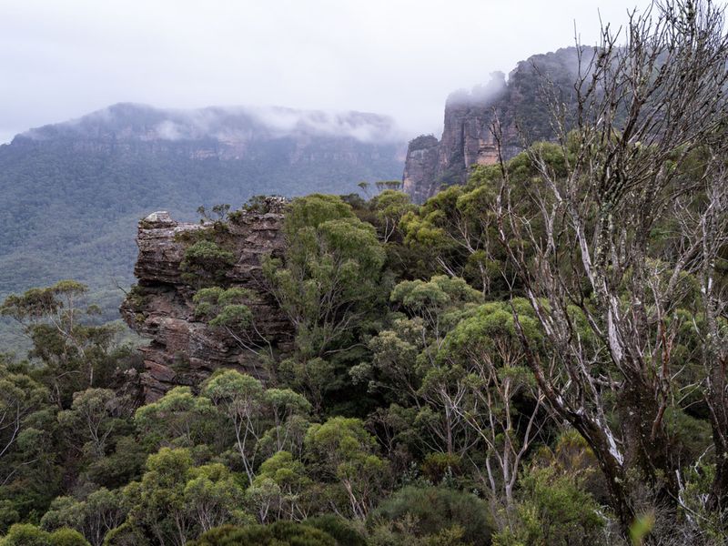 Blue Mountains Mar 2024_GFA6650s.jpg