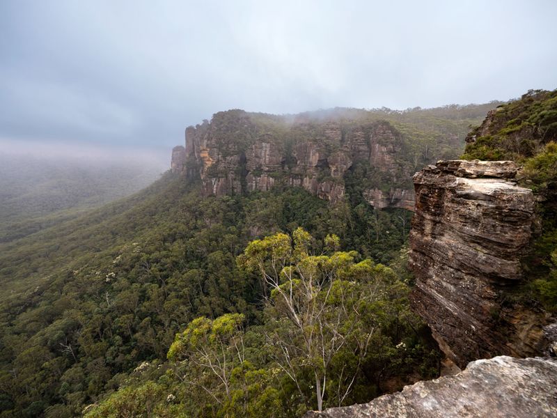 Blue Mountains Mar 2024_GFA6694s.jpg