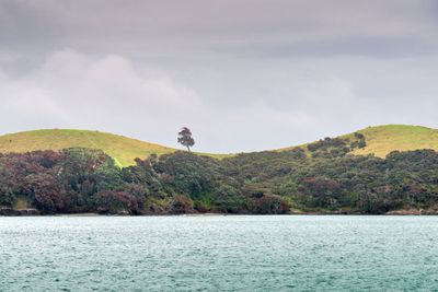 Bay of Islands  Dec 2023_8EF6454.jpg