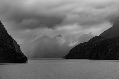 Fiordland Dec 2023_8EF6848.jpg