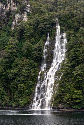 Fiordland Dec 2023_8EF6857.jpg