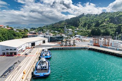 Port Chalmers Dec 2023_8EF6792.jpg