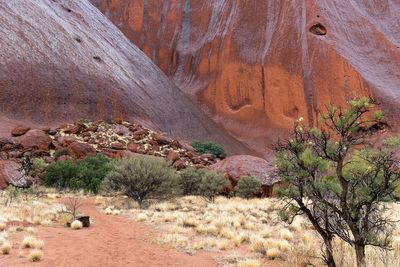 Uluru_Kings Canyon Sep 2022_85A6795.jpg