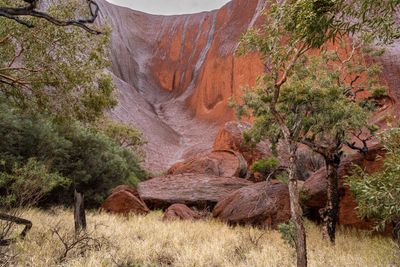 Uluru_Kings Canyon Sep 2022_85A6812.jpg