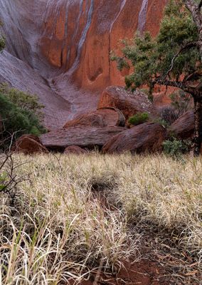 Uluru_Kings Canyon Sep 2022_85A6814.jpg