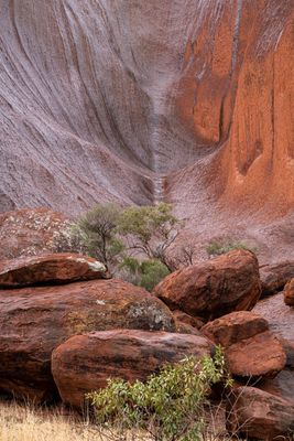 Uluru_Kings Canyon Sep 2022_85A6818.jpg