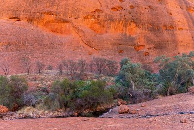 Uluru_Kings Canyon Sep 2022_85A6912.jpg