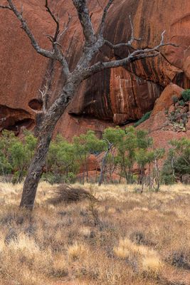 Uluru_Kings Canyon Sep 2022_85A7108.jpg