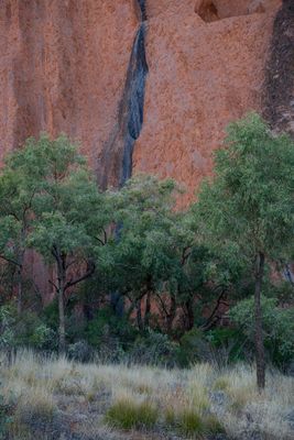 Uluru_Kings Canyon Sep 2022_85A7187.jpg