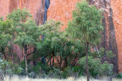 Uluru_Kings Canyon Sep 2022_85A7188.jpg