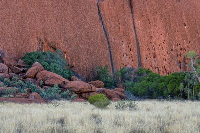 Uluru_Kings Canyon Sep 2022_85A7208.jpg