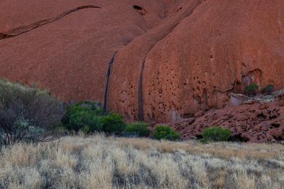 Uluru_Kings Canyon Sep 2022_85A7212.jpg