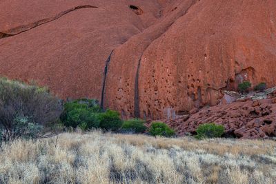 Uluru_Kings Canyon Sep 2022_85A7212_1.jpg
