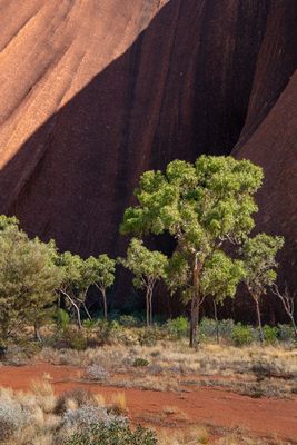 Uluru_Kings Canyon Sep 2022_85A7233-2.jpg