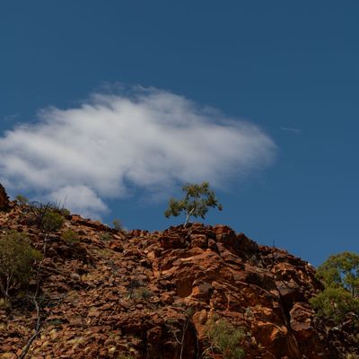 Uluru_Kings Canyon Sep 2022_85A7548.jpg
