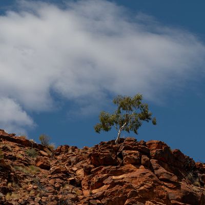 Uluru_Kings Canyon Sep 2022_85A7548_Crop.jpg