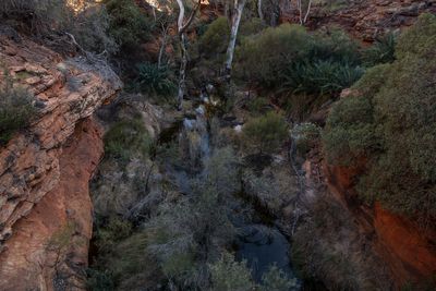 Uluru_Kings Canyon Sep 2022_85A7696.jpg