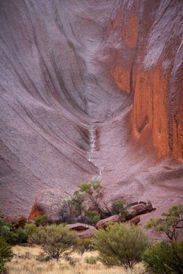 Uluru_Kings Canyon Sep 2022_D1B4572.jpg