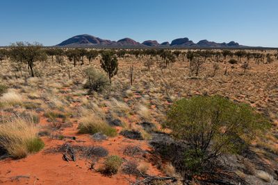 Uluru_Kings Canyon Sep 2022_D1B4581.jpg