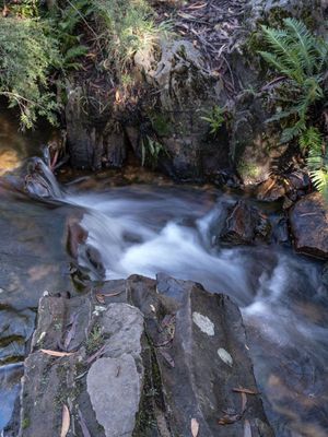 Blue Mountains Mar 2024_GFA6486s.jpg