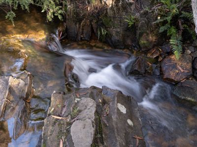 Blue Mountains Mar 2024_GFA6491s.jpg
