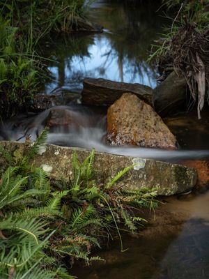 Blue Mountains Mar 2024_GFA6510s.jpg