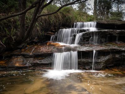 Blue Mountains Mar 2024_GFA6553s.jpg