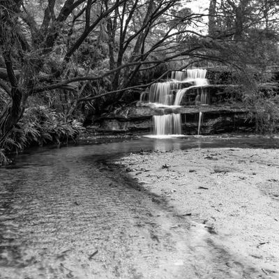 Blue Mountains Mar 2024_GFA6559_B&Ws.jpg