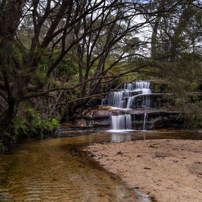 Blue Mountains Mar 2024_GFA6561s.jpg