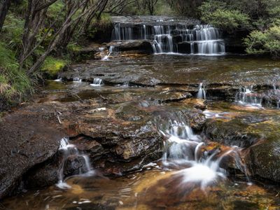 Blue Mountains Mar 2024_GFA6581_2s.jpg