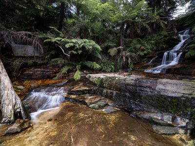 Blue Mountains Mar 2024_GFA6594s.jpg