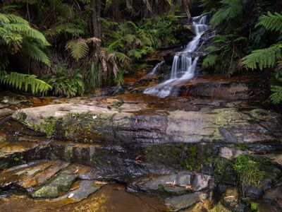 Blue Mountains Mar 2024_GFA6598s.jpg