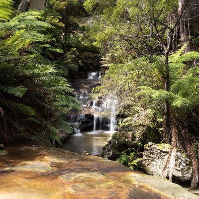 Blue Mountains Mar 2024_GFA6625s.jpg