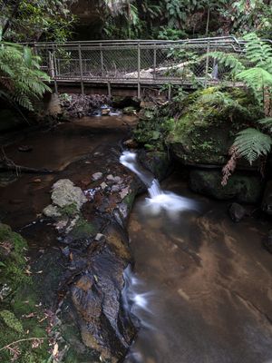 Blue Mountains Mar 2024_GFA6634s.jpg