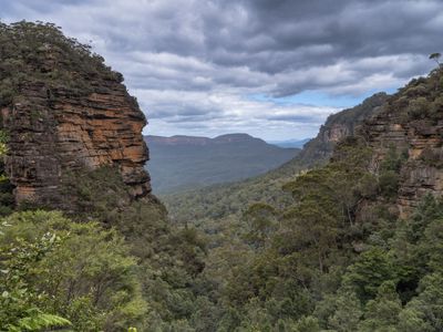 Blue Mountains Mar 2024_GFA6637s.jpg