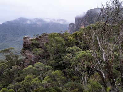 Blue Mountains Mar 2024_GFA6650s.jpg