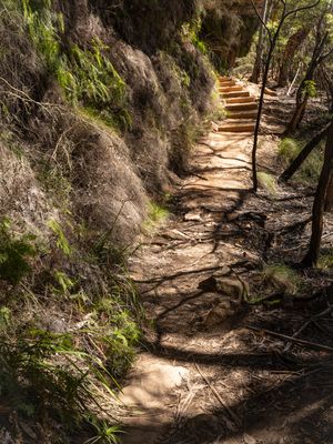 Blue Mountains Mar 2024_GFA6767s.jpg