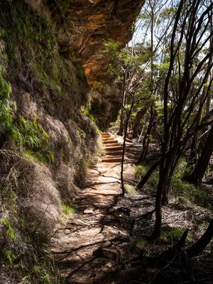 Blue Mountains Mar 2024_GFA6768s.jpg