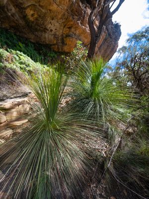 Blue Mountains Mar 2024_GFA6774s.jpg